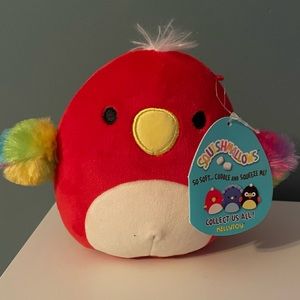 Paco the parrot squishmallow!
